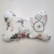 1000029095.webp