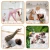 b3c6dbbd9870aa167ef937b7d47fe6bc.webp