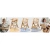 5cbff86838b7c6a983b5595e7994f5d8.webp