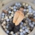 468e624a636c7cd2026ea546b462e151.webp