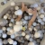878b29654a6086ea016480a2d1688017.webp