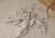 227c48cb4c8eb12936a2542ce7e47dcd.webp