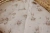 49dc010bf6c805d15addd8e1a7338431.webp