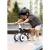 91d01afe73d5820b9bc0de79640b277c.webp