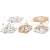 dc4ce006484475926ebf3f905cca6dba.webp