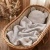 Nowe1.webp