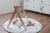 zawieszki do stojaka baby gym.jpg