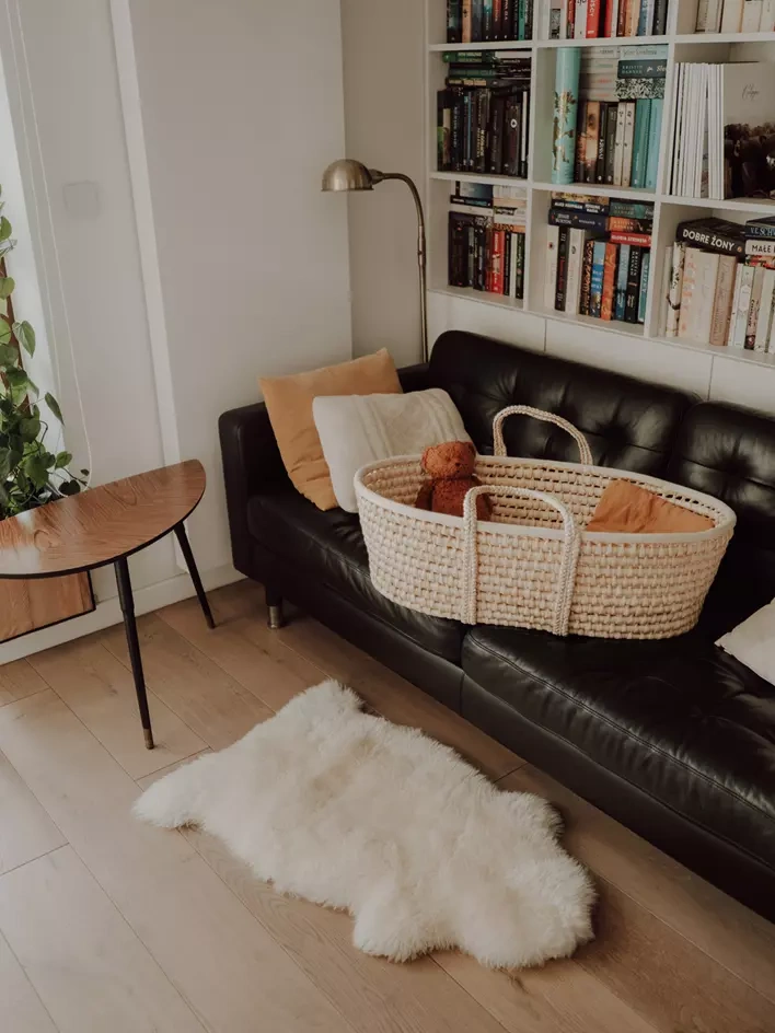 Kosz Mojżesza bez materacyka.webp